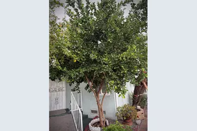 3929 E 56th Street, Maywood, CA 90270 - Photo 20