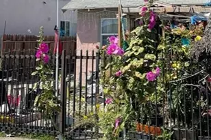207 E 94th, Los Angeles, CA 90003 - Photo 2