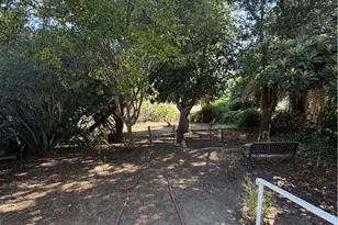 4445 Mont Eagle, Los Angeles, CA 90041 - Photo 8