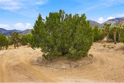 29310 Devils Punch Bowl, Juniper Hills, CA 93553 - Photo 16