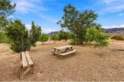29310 Devils Punch Bowl, Juniper Hills, CA 93553 - Photo 18