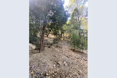 0 Strawberry Ln, Twin Peaks, CA 92391 - Photo 14