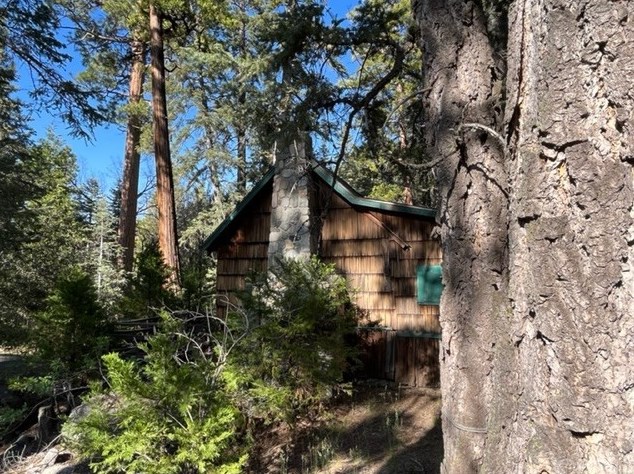 65 Barton Flats, Seven Oaks, CA 92305