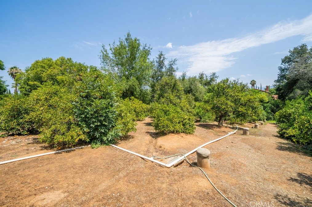 521 Sunnyside Ave, Redlands CA  92373-5635 exterior