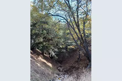 24764 Edelwiess Drive, Crestline, CA 92325 - Photo 4