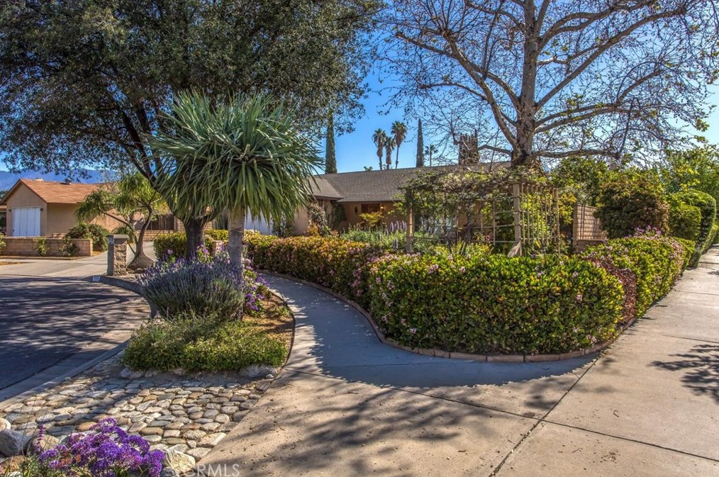 802 Renee St, Redlands, CA 92374