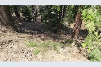 29186 Arrowhead Drive, Cedar Glen, CA 92321 - Photo 1