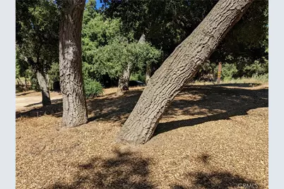 0 San Francisquito Cyn Rd, Green Valley, CA 91350 - Photo 1