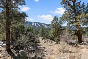 42565 Pegasus Way, Big Bear Lake, CA 92315 - Photo 1