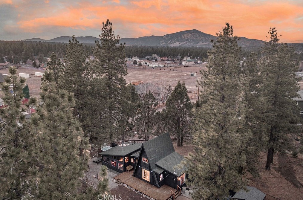 2151 Fern Ln, Big Bear City, CA 92314
