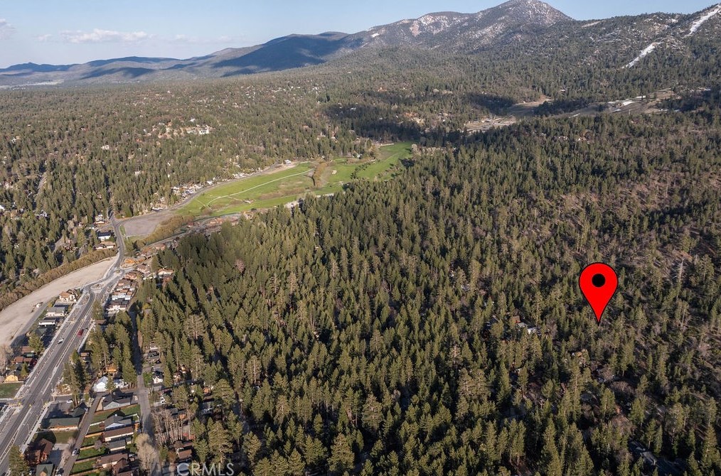 42569 Willow Ave, Big Bear CA  exterior