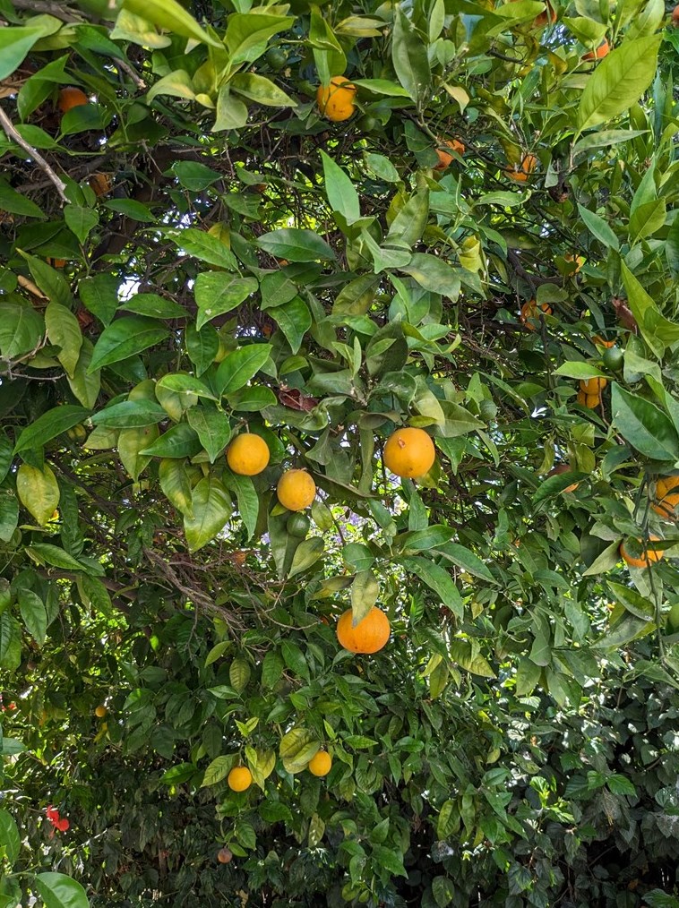 3597 Philadelphia Ct, Riverside CA exterior