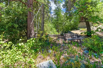 9339 Wood Road, Forest Falls, CA 92339 - Photo 14