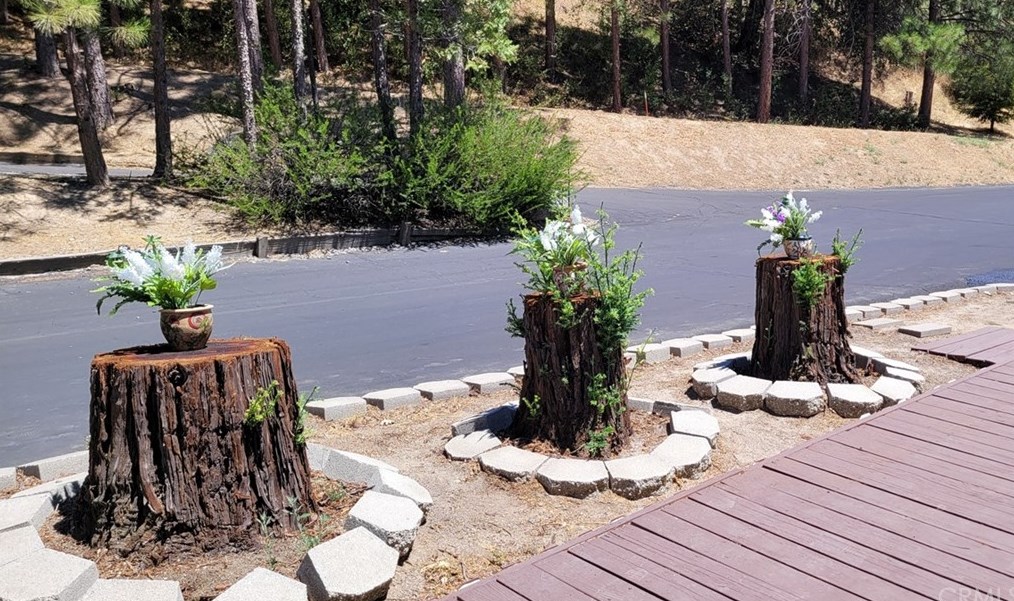 39737 Rd 274 #56, Bass Lake, CA 93604