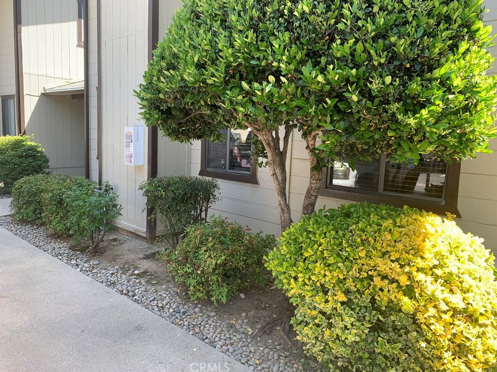 49400 River Park Rd, Oakhurst, CA 93644