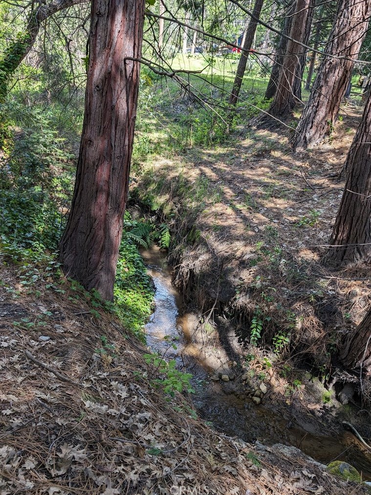 53838 Dogwood Creek Dr, Bass Lake, CA 93604-9773