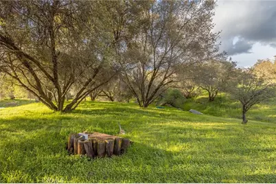 43317 Running Deer Court, Coarsegold, CA 93614 - Photo 44