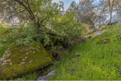 43317 Running Deer Court, Coarsegold, CA 93614 - Photo 46