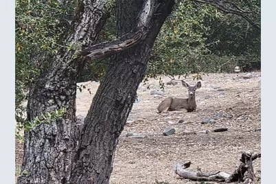 5049 Ca-78, Santa Ysabel, CA 92070 - Photo 42
