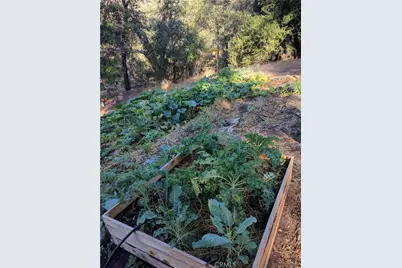 5049 Ca-78, Santa Ysabel, CA 92070 - Photo 24