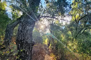 5049 CA-78, Santa Ysabel, CA 92070 - Photo 14