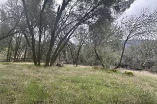 50330 Rd 426, Oakhurst, CA 93644 - Photo 8