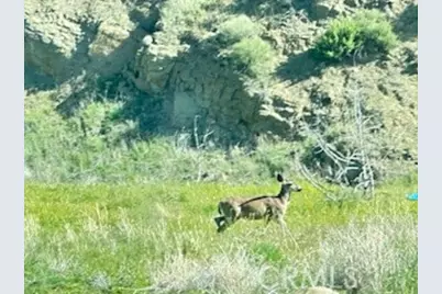 41346 Coalinga Mineral Springs Road, Coalinga, CA 93210 - Photo 64