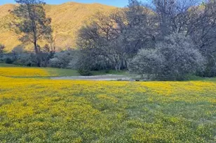 41346 Coalinga Mineral Springs Rd, Coalinga, CA 93210 - Photo 48