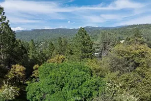 50566 Critter Creek Ln, Oakhurst, CA 93644 - Photo 32