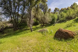 50566 Critter Creek Ln, Oakhurst, CA 93644 - Photo 30