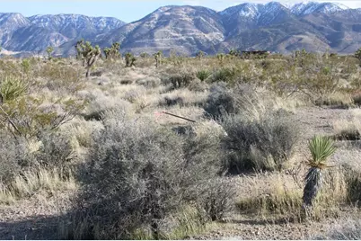 0 Trade Post Road, Lucerne Valley, CA 92356 - Photo 16