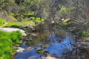 32413 Chickasaw Rd, Coarsegold, CA 93614 - Photo 62