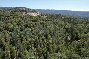 39567 E Idylwild, Bass Lake, CA 93604 - Photo 56