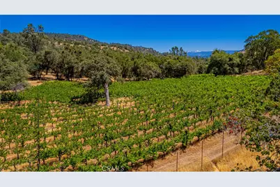 49610 House Ranch Rd, O'Neals, CA 93645 - Photo 32