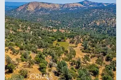 49610 House Ranch Rd, O'Neals, CA 93645 - Photo 42