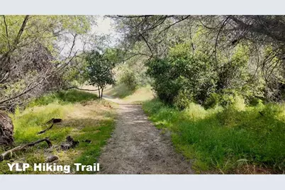 31749 Road 400, Coarsegold, CA 93614 - Photo 58