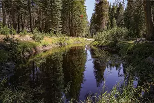 67922 Beasore Rd, Bass Lake, CA 93604 - Photo 28