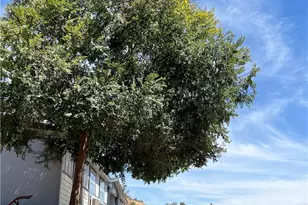 37180 Mistletoe Rd, Squaw Valley, CA 93675 - Photo 22