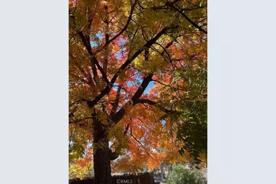 43656 Crystal Cave Circle, Coarsegold, CA 93614 - Photo 44