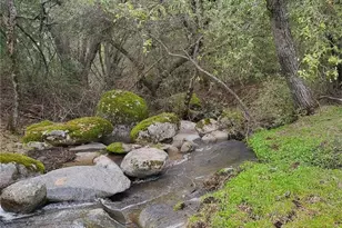 44001 Dunlap, Squaw Valley, CA 93641 - Photo 50