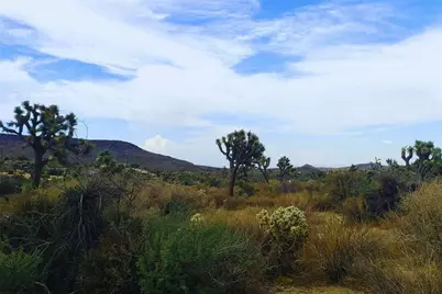 56200 Skyline Ranch Road, Yucca Valley, CA 92284 - Photo 6