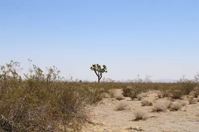 14999 Mojave Drive, Phelan, CA 92371 - Photo 8
