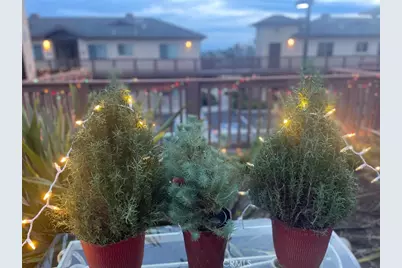 579 Camino Mercado #518, Arroyo Grande, CA 93420 - Photo 22