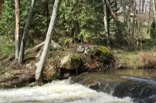 42583 Shady Ln, Oakhurst, CA 93644 - Photo 58