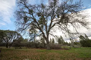 5156 Hillside, Mariposa, CA 95338 - Photo 16