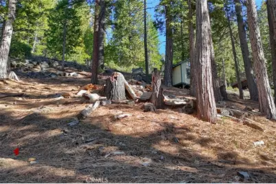 7349 & 7473 Yosemite Park Way, Yosemite, CA 95389 - Photo 6