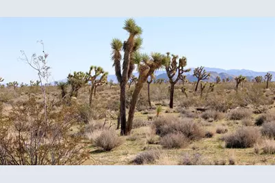 21099 Valley Vista Avenue, Yucca Valley, CA 92284 - Photo 10