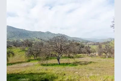 38075 Willowood, Squaw Valley, CA 93675 - Photo 32