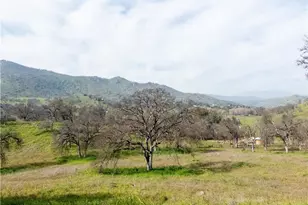 38075 Willowood, Squaw Valley, CA 93675 - Photo 32