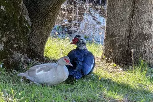 31729 Cherokee, Coarsegold, CA 93614 - Photo 56